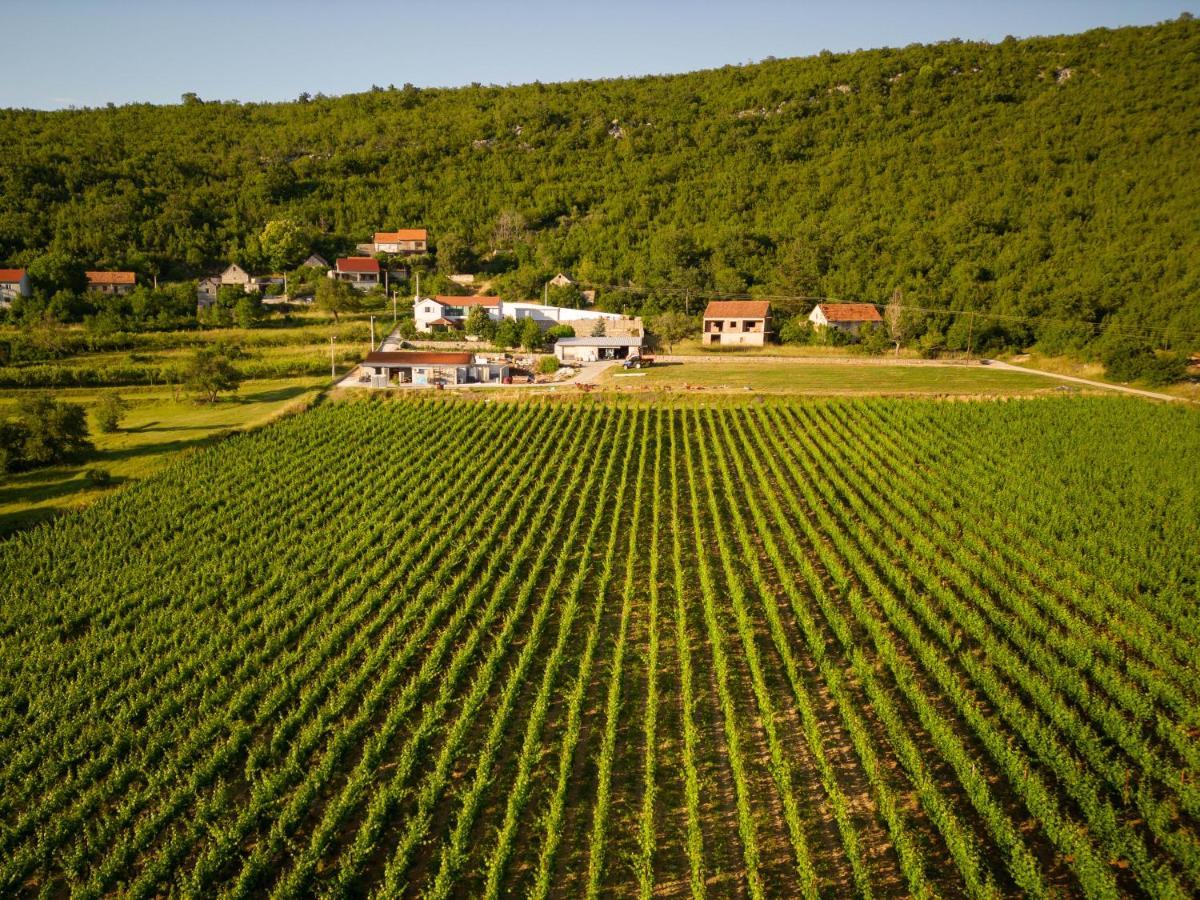 Krolo Villa&Wine Trilj Ngoại thất bức ảnh